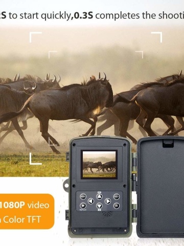 Cameră ascunsă vânătoare, wildlife, supraveghere proprietăți, păduri, spații izolate, SD card, display