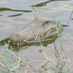 Barcă / Navomodel în formă de monstru crocodil, de mers pe apă cu telecomandă - Jucărie amuzantă pentru copii - Img 2