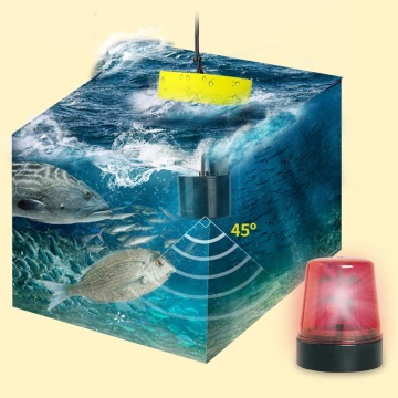Ecranul LCD al sonarului Erchang XF-02C, cu afișarea peștilor