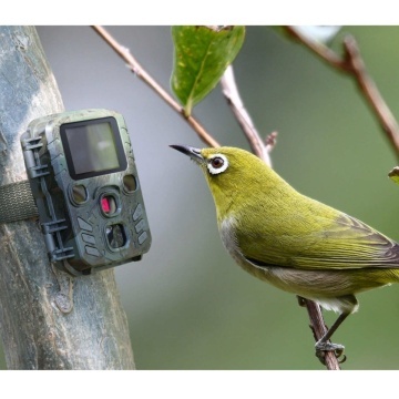 Mini Camera de vanatoare, 24 Megapixeli,Bluetooth, Video HD 1296P, Vedere nocturna in infrarosu