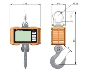 Cântar electronic pe cârlig 500 kg, pentru macara, cu telecomandă