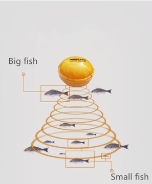 Fish finder with WIFI/ANDROID/IOS sonar display on phone - Img 3