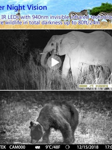 Hidden camera for hunting, wildlife, property surveillance, forests, isolated spaces, SD card, display - Img 11