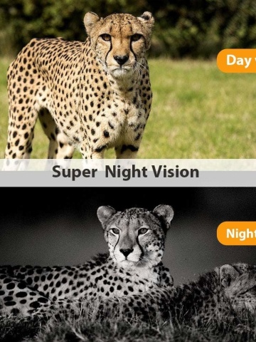 Hidden camera for hunting, wildlife, property surveillance, forests, isolated spaces, SD card, display - Img 8