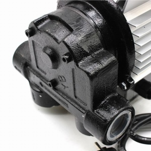 Pump for transferring fuel, liquids, oil, diesel, 220V, 550W, 60l/min, Dittom - Img 2