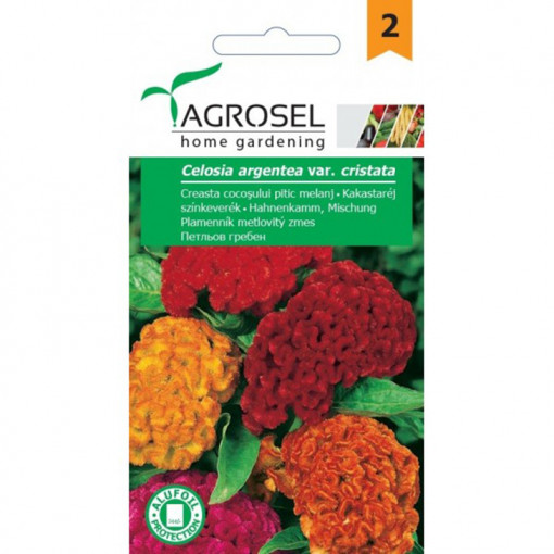 AGROSEL Seminte Creasta Cocosului PITICE PG2 plic 0.65g