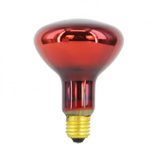 Bec Infrarosu 100W