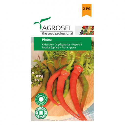 AGROSEL Seminte ARDEI Iute PINTEA PG2 plic 1g