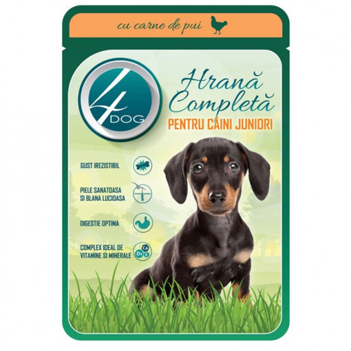 Hrana umeda pentru caini 4DOG JUNIOR cu PUI in sos plic 100g