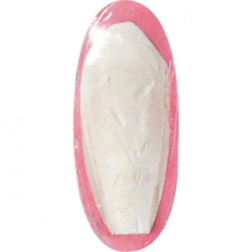 Hrana complementara pentru pasari de colivie FLAMINGO Os de sepie cu capsuni 16.5cm