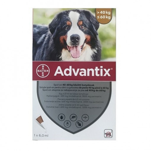 ADVANTIX 600 Solutie antiparazitara extern pentru caini 40-60kg cutie 1 pipeta