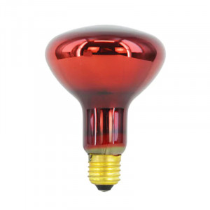 Bec Infrarosu 100W