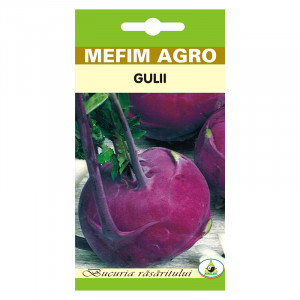MEFIM AGRO seminte de GULII PURPLE VIENNA plic de 2g