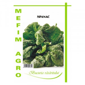 MEFIM AGRO seminte de SPANAC MATADOR plic de 30g