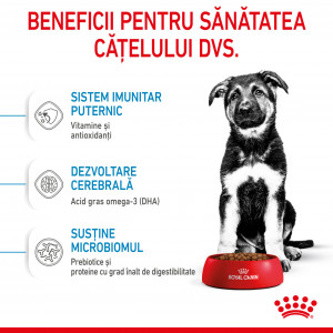 Royal Canin Maxi Puppy hrana uscata caine junior, 3 kg - Img 5