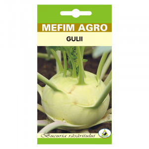 MEFIM AGRO seminte de GULII WHITE VIENNA plic de 2g