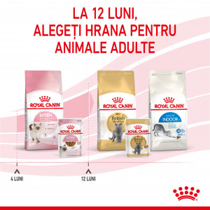 Royal Canin Kitten hrana umeda pisica (in sos), 85 g - Img 8