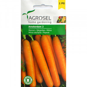 Seminte AGROSEL MORCOVI AMSTERDAM 2 PG1 plic de 3g