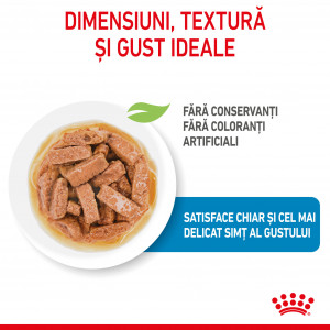 Royal Canin Maxi Puppy hrana umeda caine junior (in sos), 140 g - Img 3