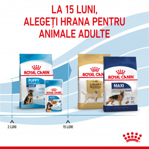 Royal Canin Maxi Puppy hrana uscata caine junior, 3 kg - Img 7