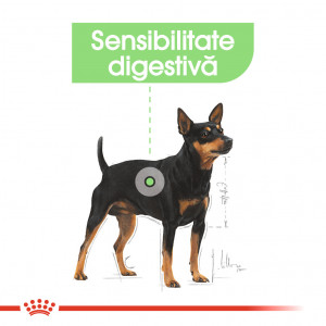 Royal Canin Mini Digestive Care hrana uscata caine, confort digestiv, 1 kg - Img 3