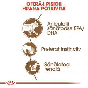 Royal Canin Ageing 12+ hrana umeda pisica senior (in sos), 85 g - Img 3