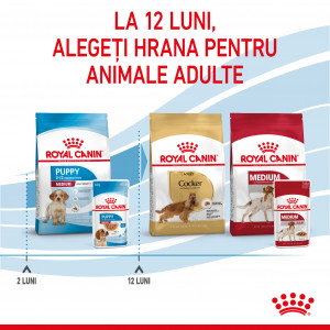 Royal Canin Medium Puppy hrana umeda caine junior (in sos), 140 g - Img 8