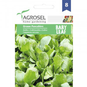 AGROSEL Seminte ANDIVE PG8 plic 3g