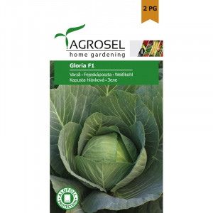 Seminte AGROSEL VARZA GLORIA PG2 plic