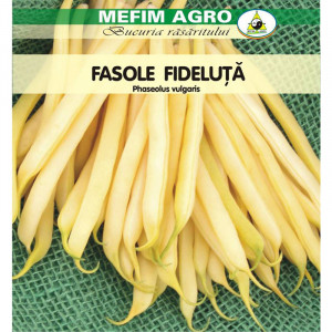 MEFIM AGRO Seminte de fasole fideluta galbena plic de 200g