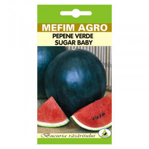 MEFIM AGRO seminte de PEPENE VERDE BABY SUGAR plic de 4g