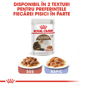 Royal Canin Ageing 12+ hrana umeda pisica senior (in sos), 85 g - Img 6