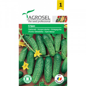 AGROSEL Seminte Castraveti CRISAN PG1 plic 1g