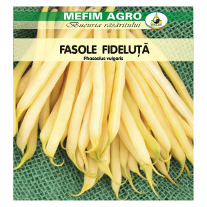 MEFIM AGRO seminte de FASOLE FIDELUTA GALBENA plic de 500g