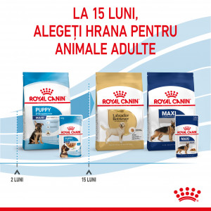 Royal Canin Maxi Puppy hrana umeda caine junior (in sos), 140 g - Img 8