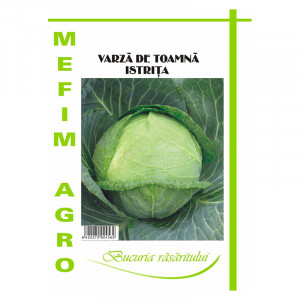 MEFIM AGRO seminte de VARZA ISTRITA plic de 2g