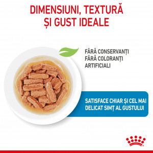 Royal Canin Medium Puppy hrana umeda caine junior (in sos), 140 g - Img 3