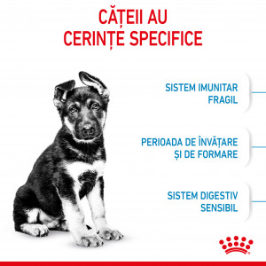 Royal Canin Maxi Puppy hrana uscata caine junior, 3 kg - Img 4