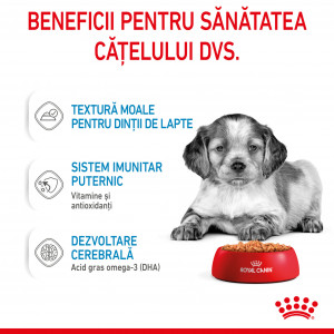 Royal Canin Medium Puppy hrana umeda caine junior (in sos), 140 g - Img 4