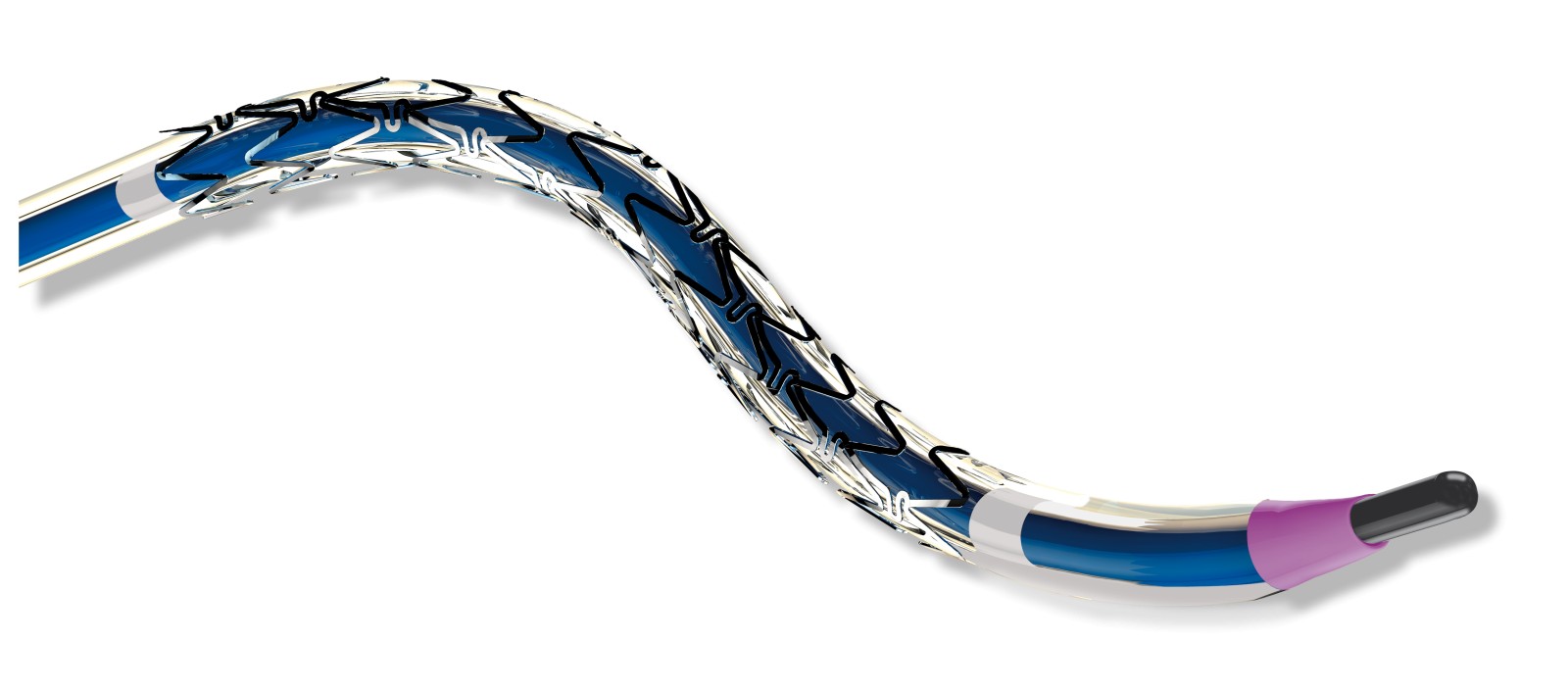 BARISTA Trial Demonstrates Excellent 1-Year Outcomes with Restorer in the Treatment of Iliac Artery Lesions