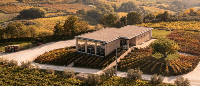 Interviu special cu Cristina Faur – LVG WINE, Italia