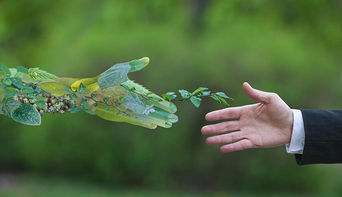 Planurile de protecție climatică pentru Germania și UE vor costa 4500 de miliarde de euro