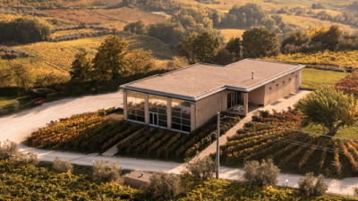 Interviu special cu Cristina Faur – LVG WINE, Italia