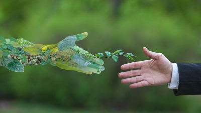 Planurile de protecție climatică pentru Germania și UE vor costa 4500 de miliarde de euro