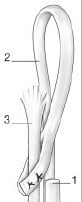 Universal Tendon Spacer U.T.S. – Distanțier Tendinos din Silicon pentru Reconstrucția Tendoanelor Flexorilor și Extensorilor - Img 4