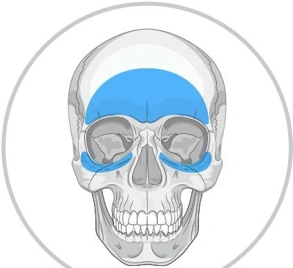 Implanturi Personalizate pentru Augmentarea Feței și Craniului | Chirurgie Plastică și Estetică, MEDPRIN - Img 2