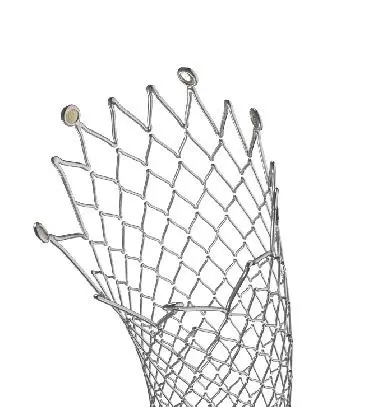 ZENFLEX™ – Stent Periferic Autoexpandabil Nitinol | Zylox-Tonbridge - Img 2