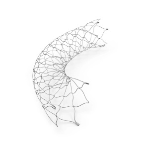 ACCLINO Flex Stent Plus
