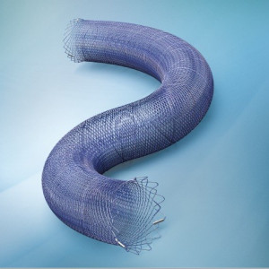 DERIVO Embolisation Device