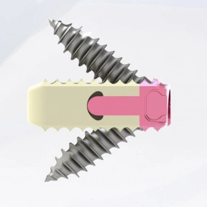 TITANOPEEK - Cage Vertebral Cervical cu suruburi de prindere si profil anatomic